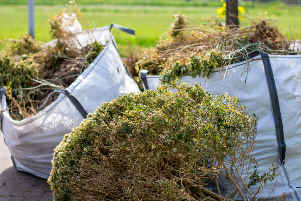 Best Commercial Junk Removal  in Meadview, AZ